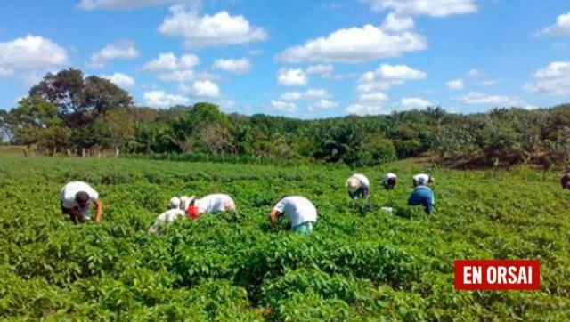 Procesaron a tres empresarios agropecuarios por trata laboral de 200 personas