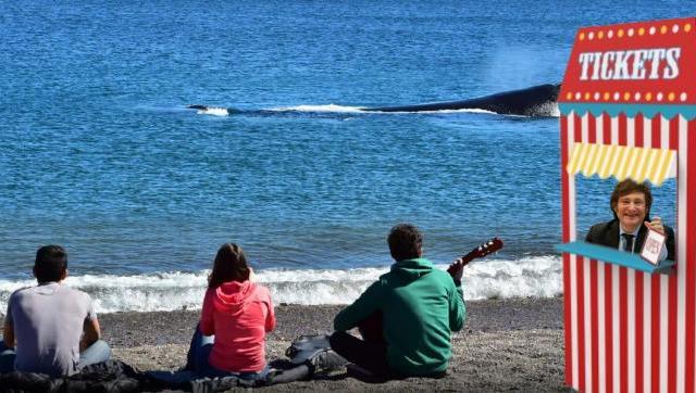 Otro cuento libertario: ¿Se quieren adueñar del Océano para Salvar la Fauna Marina?