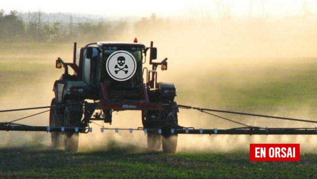 El Campo: Cuatro acusados por usar agroquímicos tóxicos cerca de escuelas en Pergamino