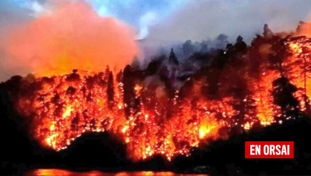 El incendio en Nahuel Huapi: Denuncian que el Parque está a cargo de un sciolista que no esta capacitado para el cargo